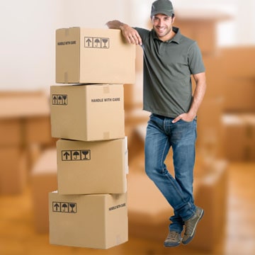 Packers and Movers Bilaspur, Packers and Movers Bilaspur